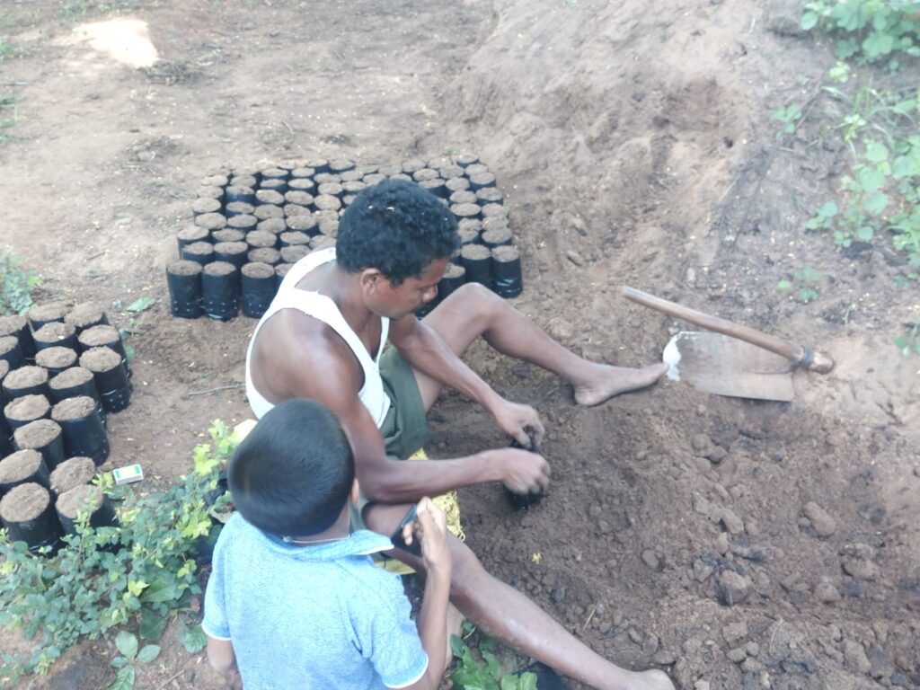 soil-filling-in-nursery-plantation-bags-akshara-livelihoods