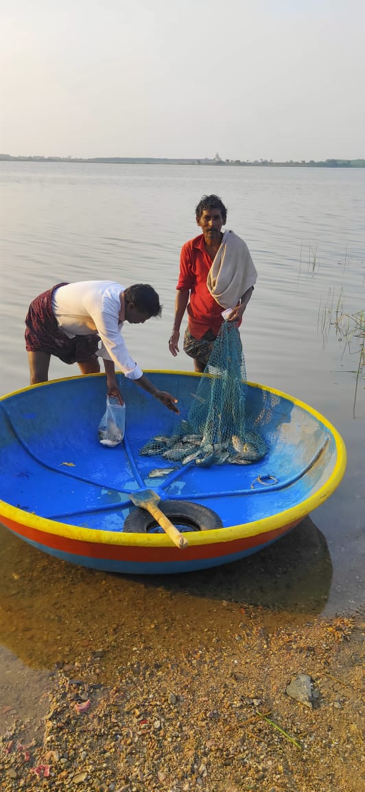 Fishing : Fishing Livelihood- Image of the day : Akshara Livelihoods