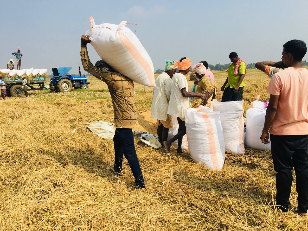 Agri labour - Image of the day : Akshara Livelihoods