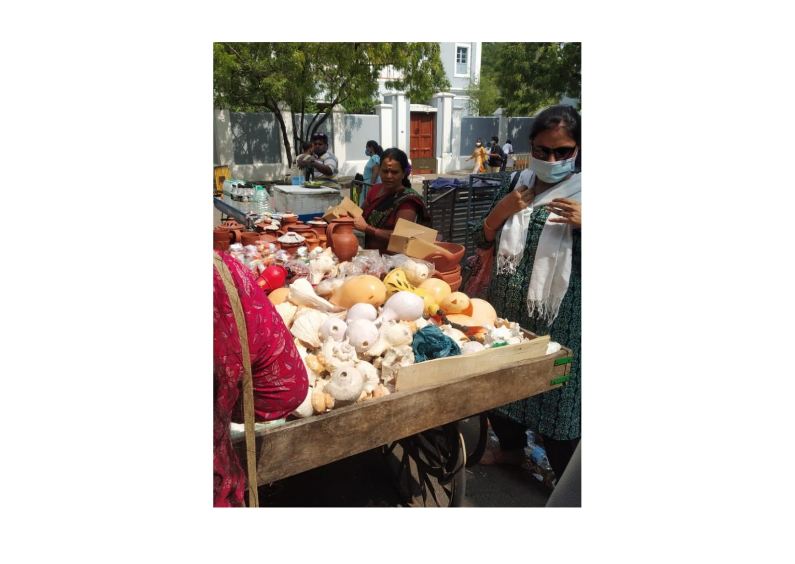 conch-seller-akshara-livelihoods